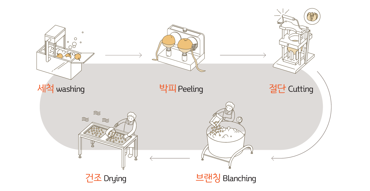 배 가공 단계: 세척(washing), 박피(Peeling), 절단(Cutting), 브랜칭(Blanching), 건조(Drying)