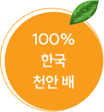 100% 한국 천안 배